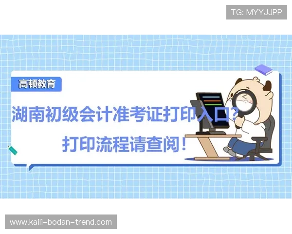 初盘波胆怎么看品牌入口下载评测避坑防骗